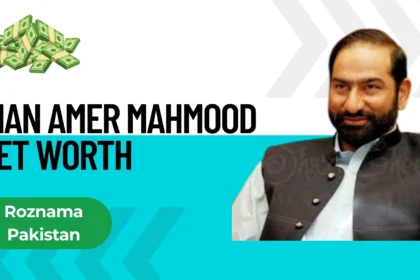 Mian Amer Mahmood Net Worth